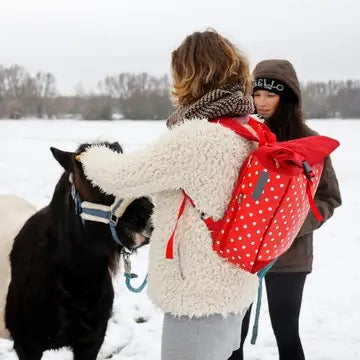 Kombi Fahrradtasche/Rucksack Lunares