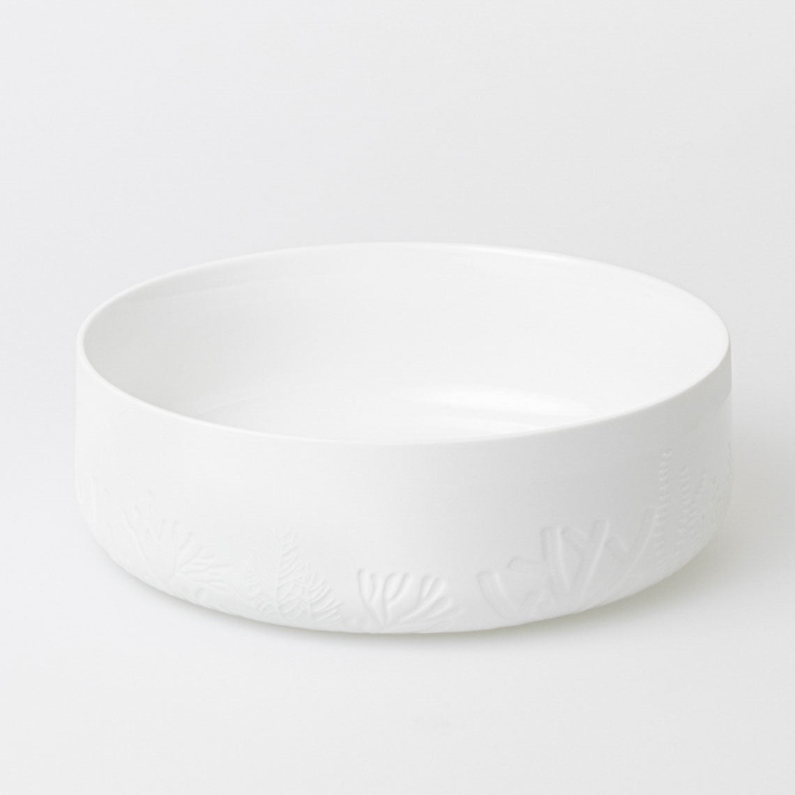 UNTERWASSERWELT. SCHALE. "FISCHE"