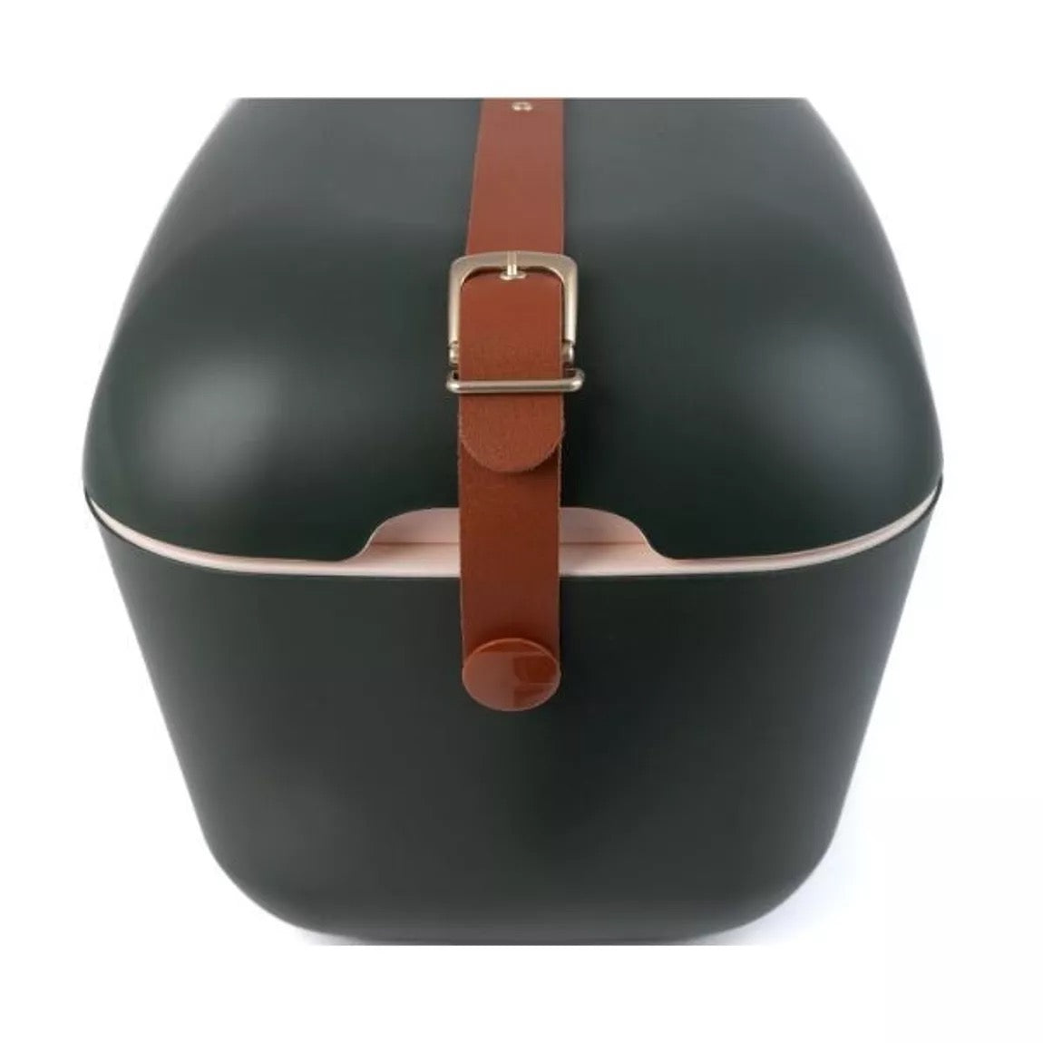 POLARBOX GREEN FOREST 12L KÜHLER – GOLD