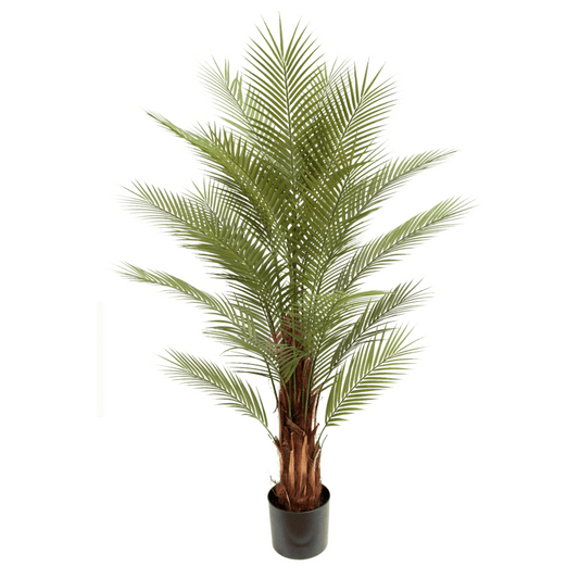 Künstliche Palme 150cm - HOLE-X-WORLD