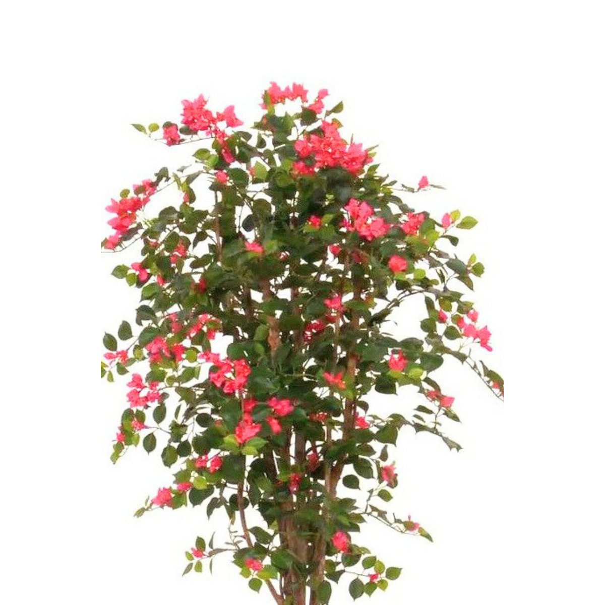 Bougainvillea Kunstpflanze 180cm