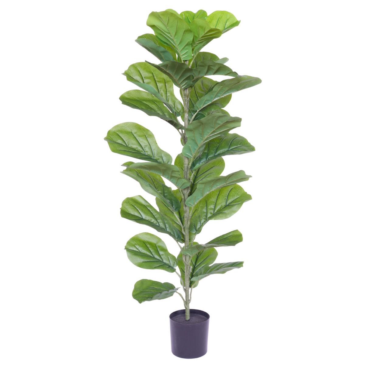 Ficus Kunstpflanze 100cm