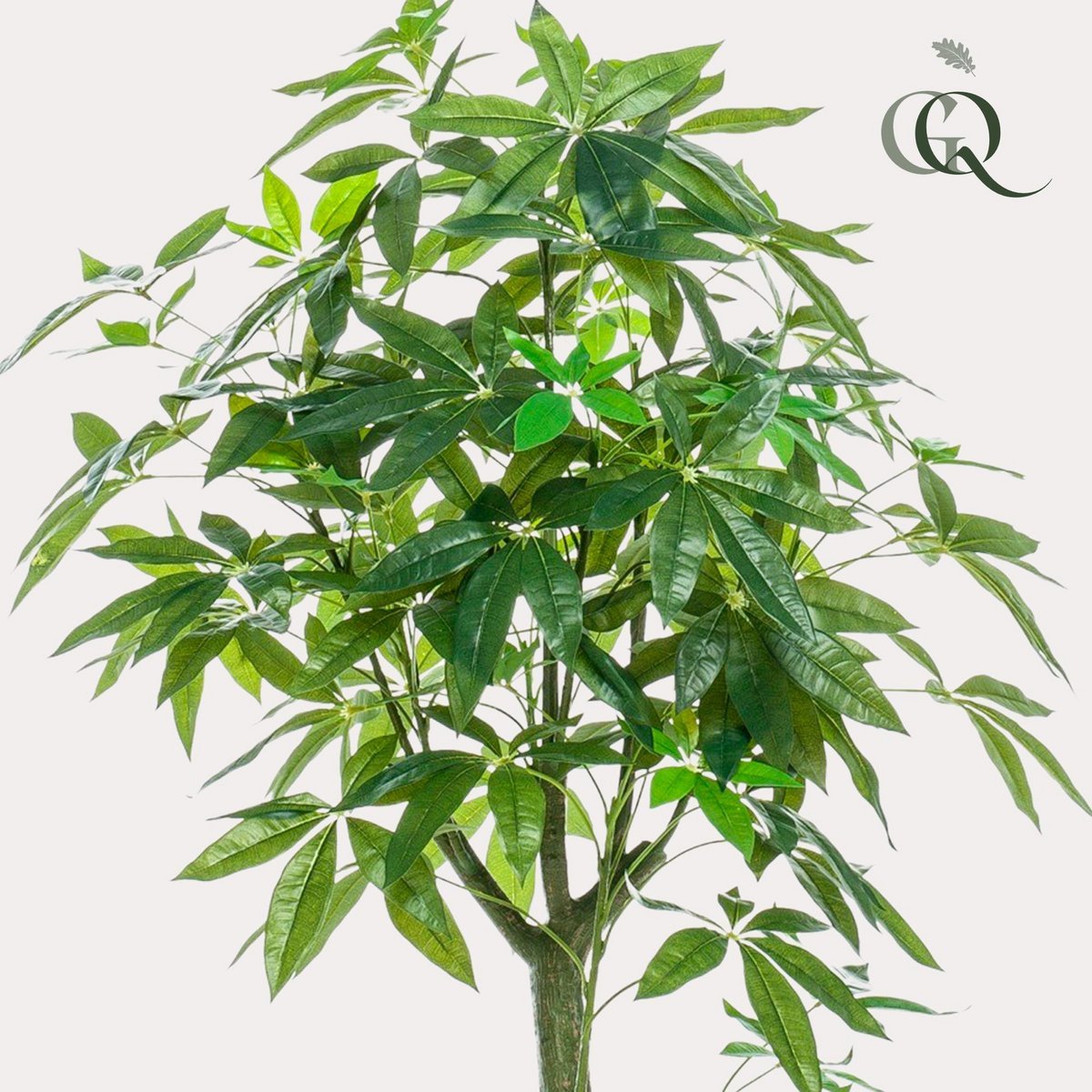 Künstliche Pflanze - Pachira Aquatica - Geldbaum - 150 cm