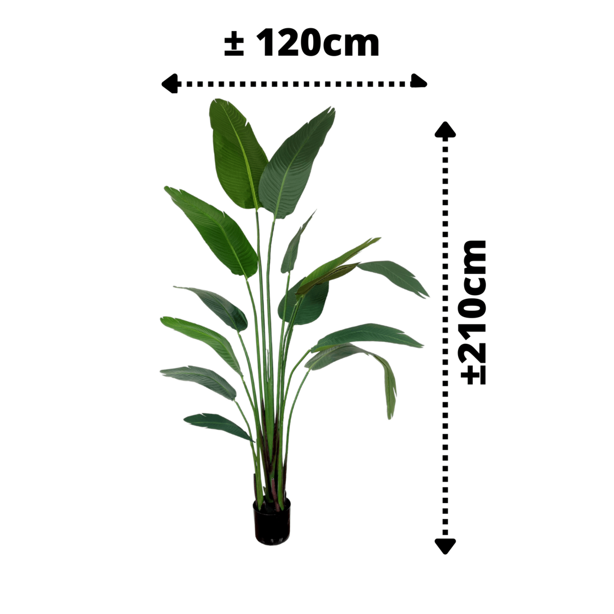 Künstliche Strelitzia-Pflanze 210 cm