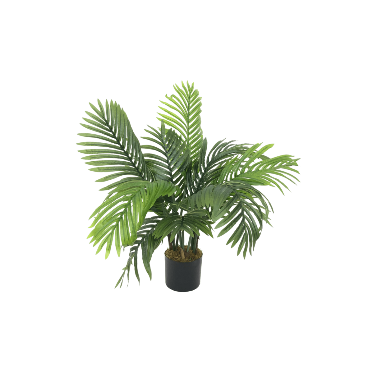 Künstliche Palme 80cm