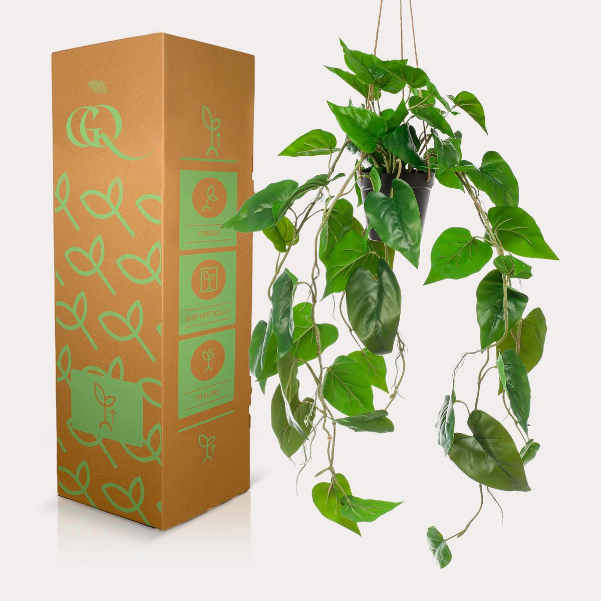 Kunstpflanze - Philodendron scandens - Climbing Tree Lover - 80 cm