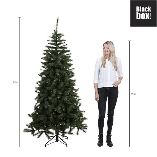 Charlton Künstlicher Weihnachtsbaum – H215 x Ø127 cm – Grün - HOLE-X-WORLD