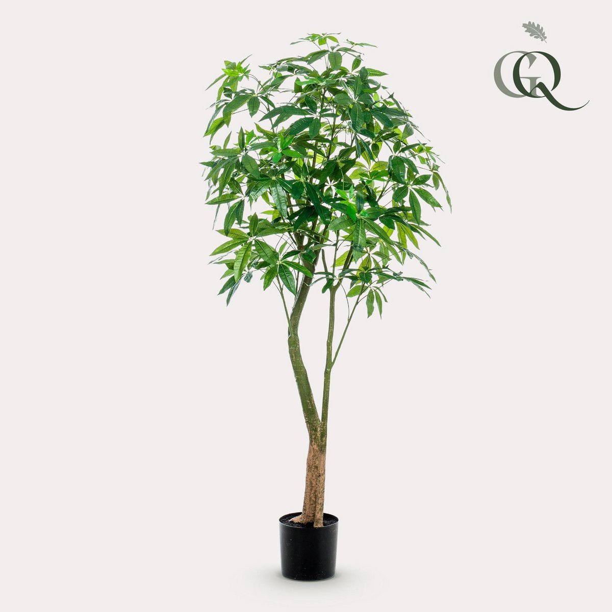 Künstliche Pflanze - Pachira Aquatica - Geldbaum - 180 cm