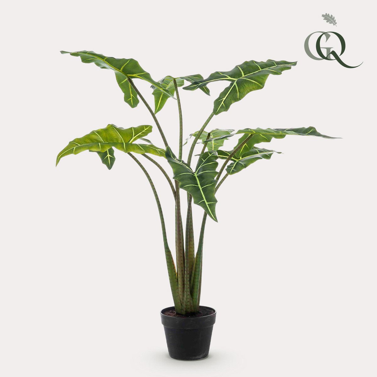 Künstliche Pflanze - Alocasia Frydek - Elefantenohr - 100 cm