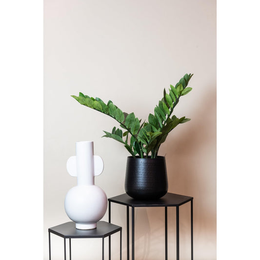 Kunstpflanze - Zamioculcas - Hauspalme - 70 cm