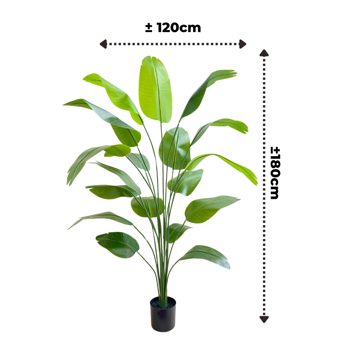 Pre-Order Kunst Bananenplant 180cm