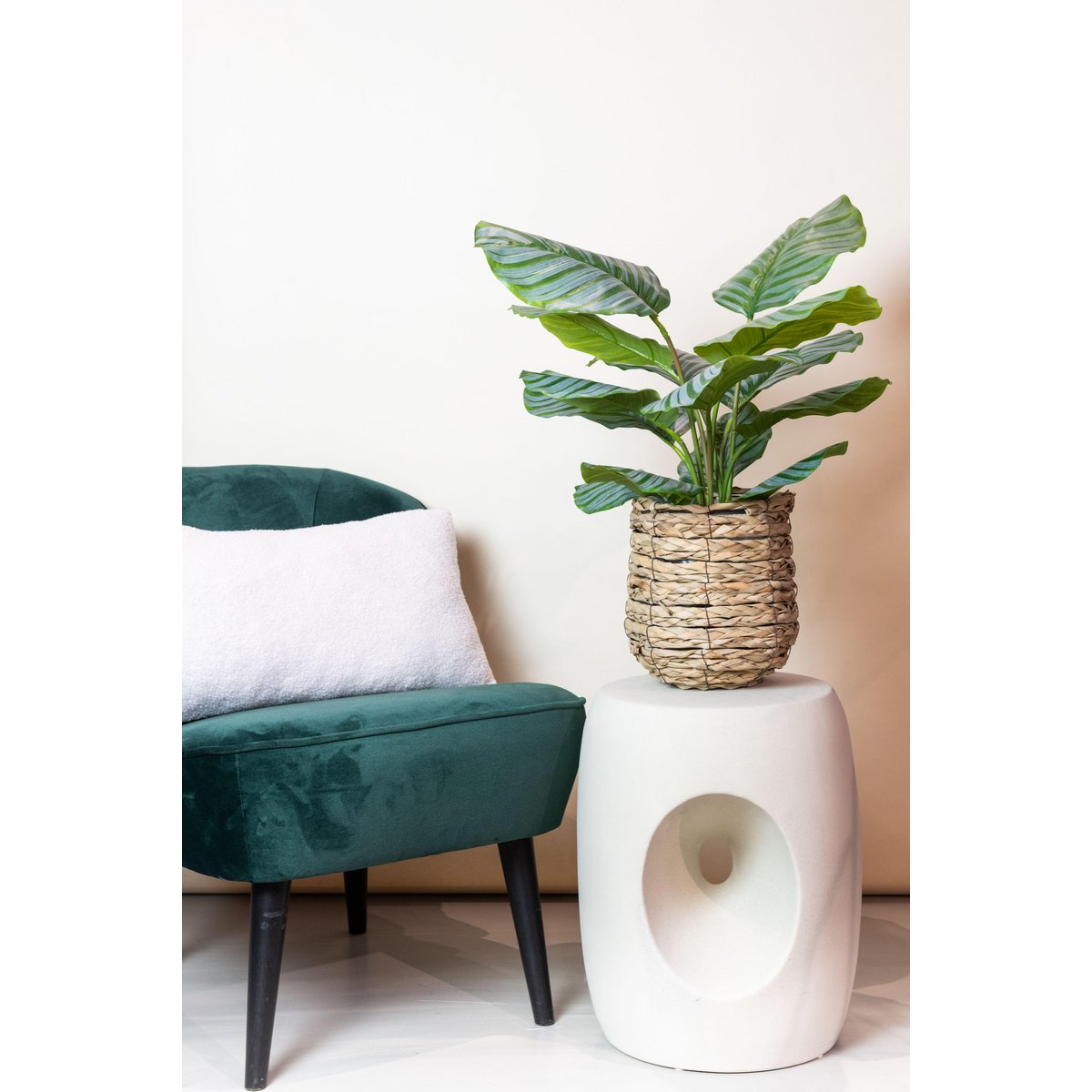 Kunstpflanze - Calathea Orbifolia - Schattenpflanze - 60 cm