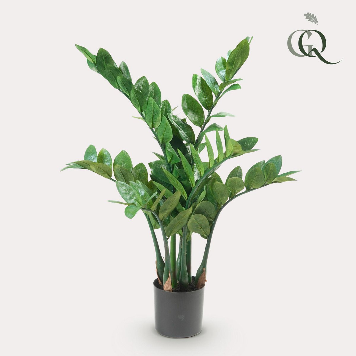 Kunstpflanze - Zamioculcas - Hauspalme - 70 cm