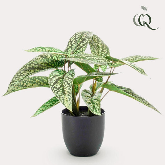 Kunstpflanze - Calathea Dots - Schattenpflanze - 38 cm