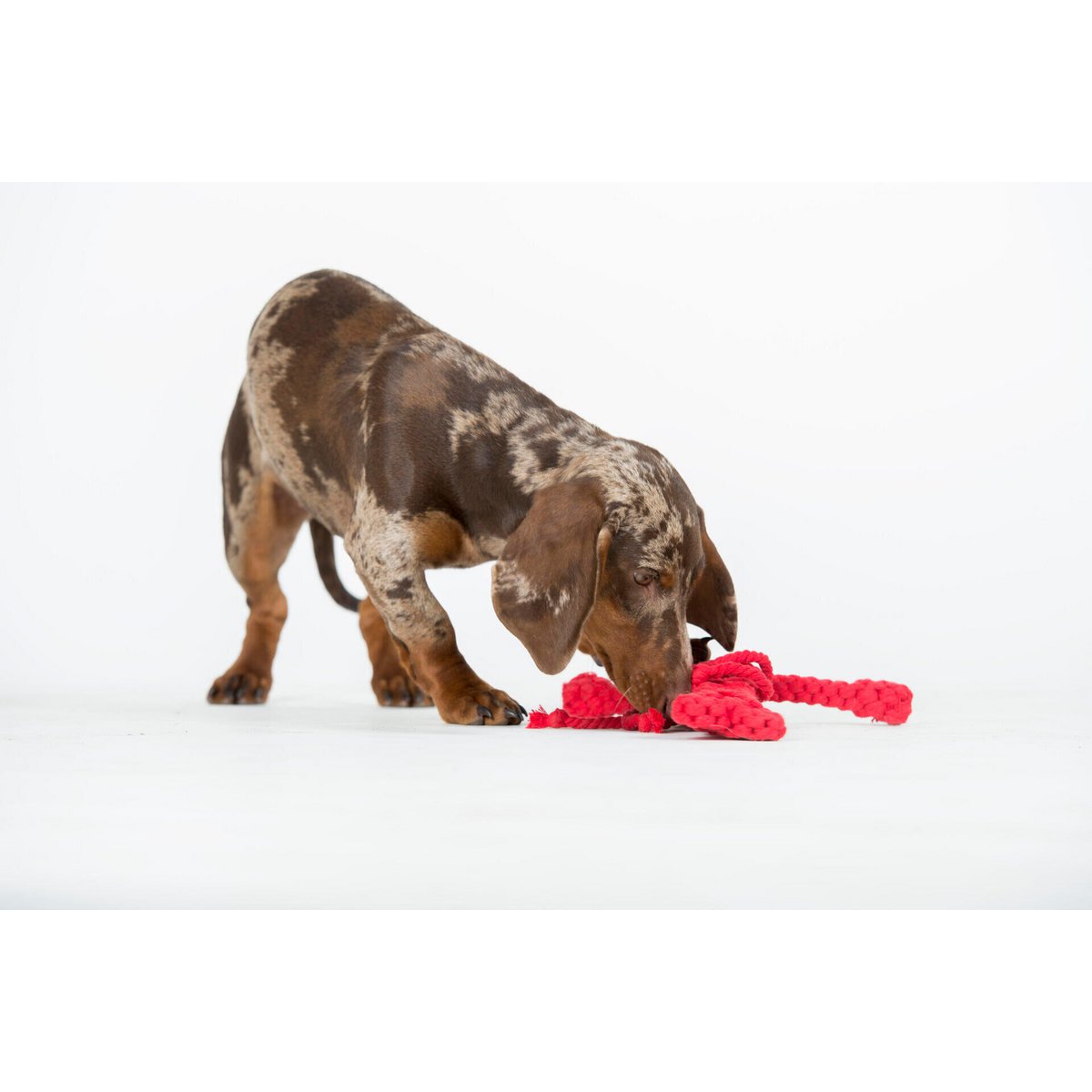 Hugo Hummer Rope Toy - Dog Red 26x22x4 cm