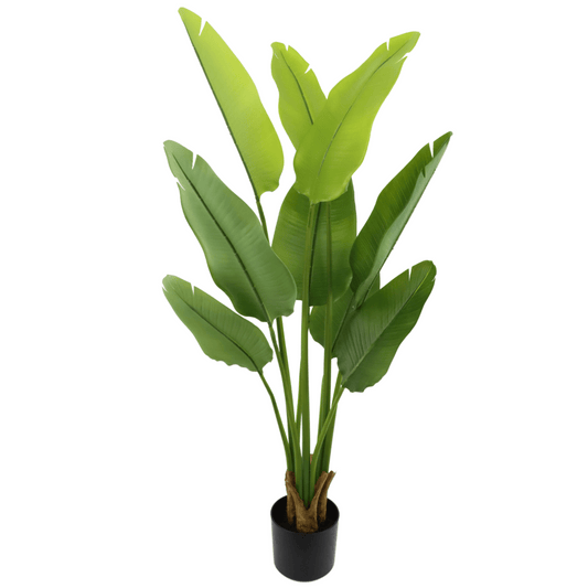 Künstliche Strelitzia-Pflanze 120 cm - HOLE-X-WORLD