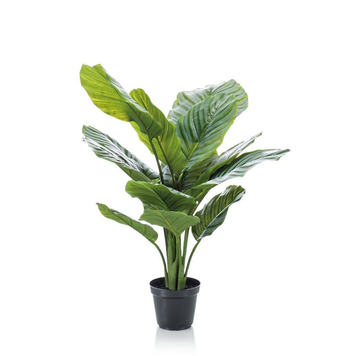 Kunstpflanze - Calathea Orbifolia - Schattenpflanze - 60 cm