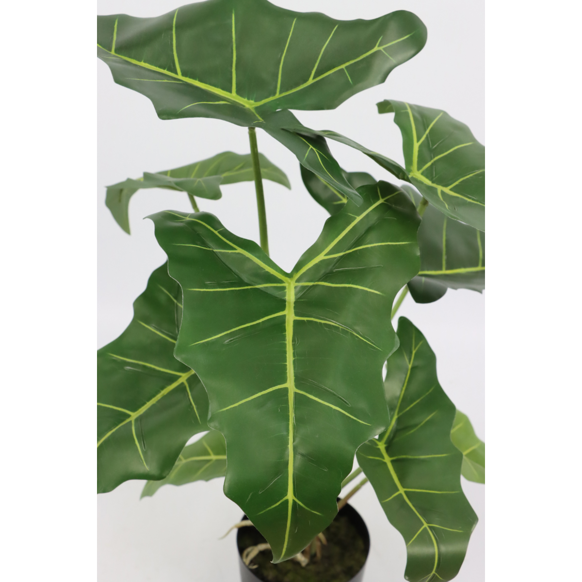 Alocasia Kunstpflanze 60cm