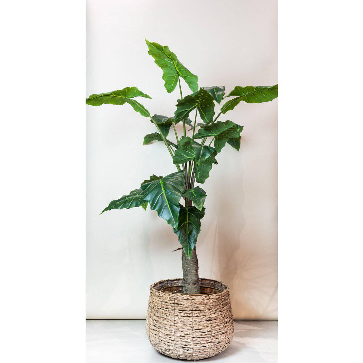 Künstliche Pflanze - Alocasia - Elefantenohr - 150 cm - HOLE-X-WORLD