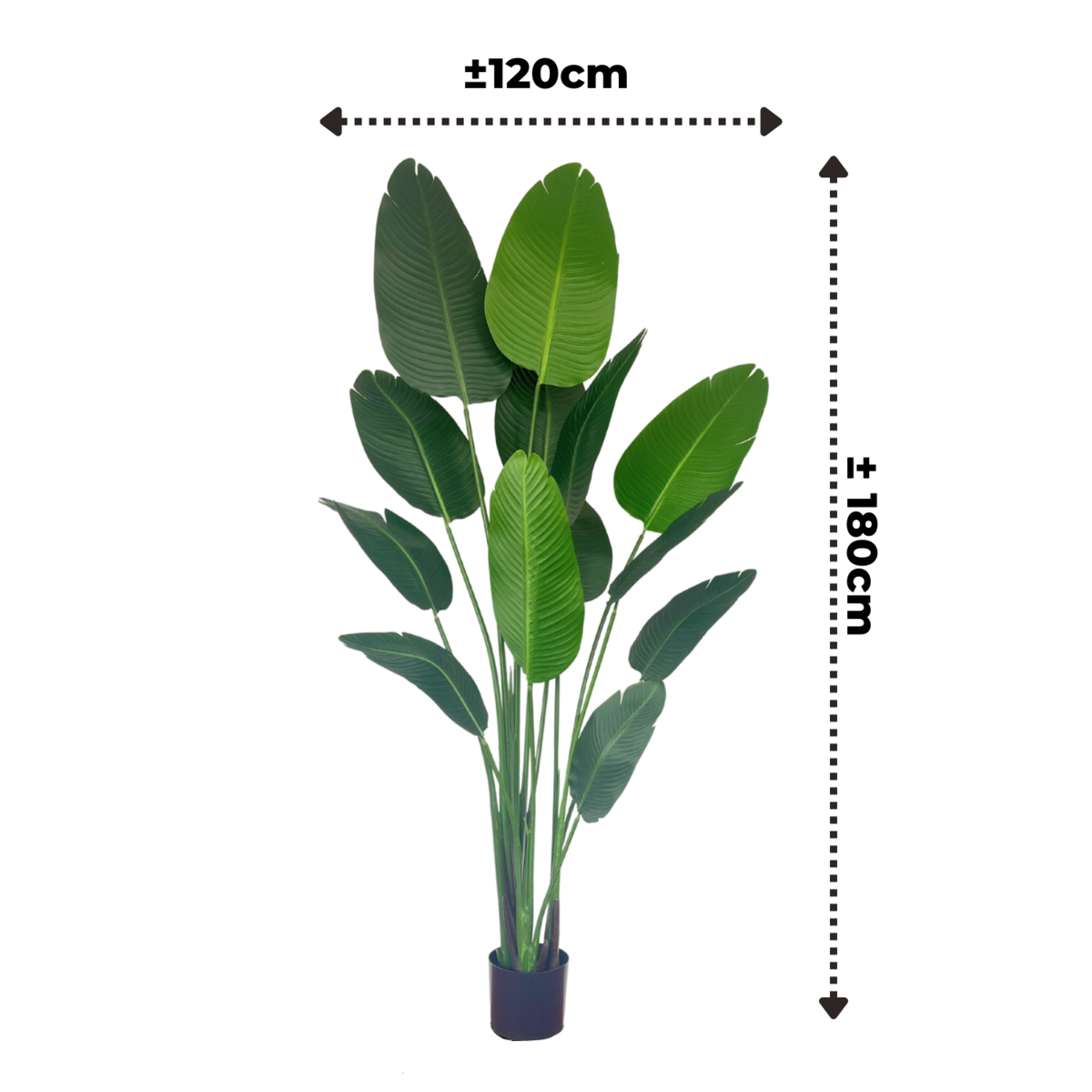 Künstliche Strelitzia-Pflanze 180 cm