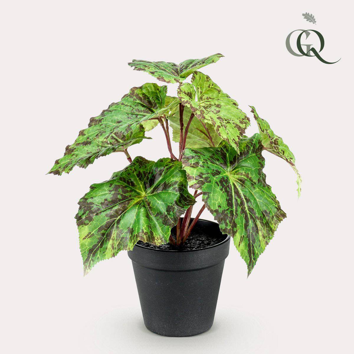 Künstliche Pflanze - Begonia Rex - Blattbegonie - 25 cm - HOLE-X-WORLD