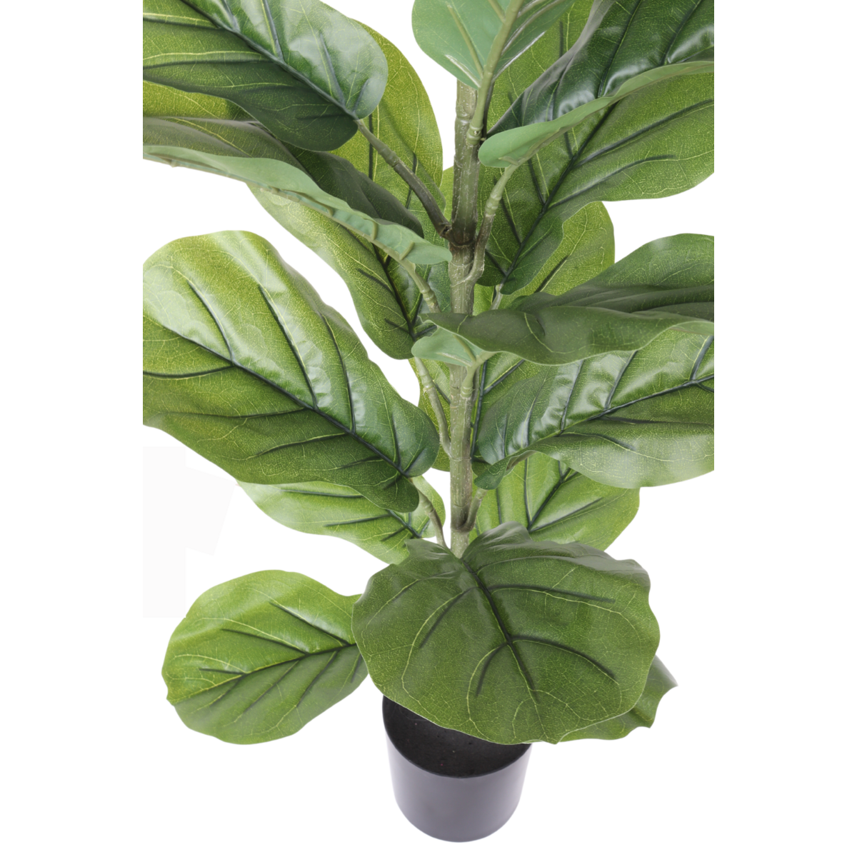 Ficus Kunstpflanze 100cm