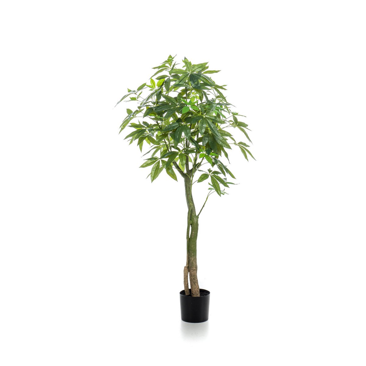 Künstliche Pflanze - Pachira Aquatica - Geldbaum - 150 cm