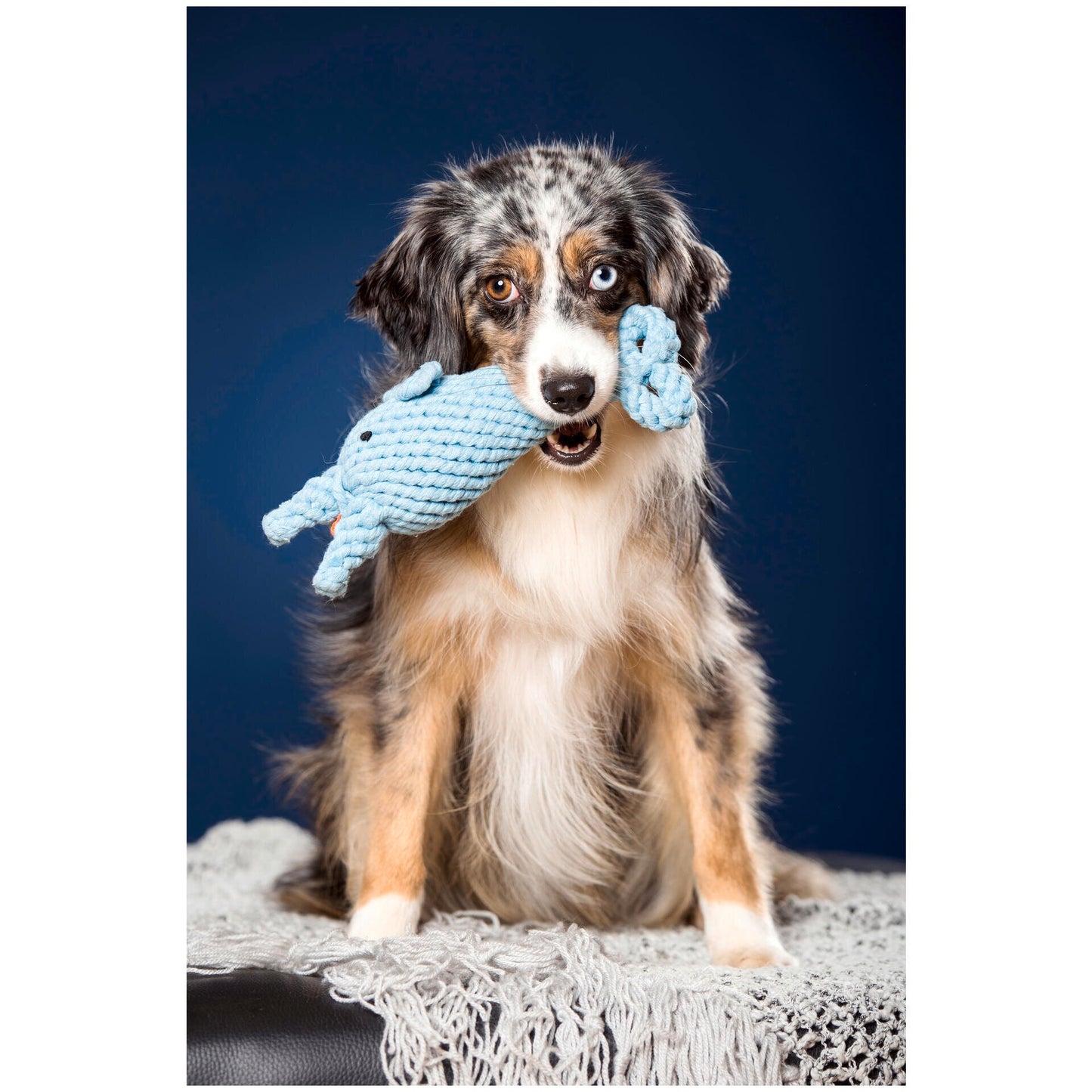 LABONI Big Ocean - Spielzeug-Set für Hunde aus zahnpflegendem Baumwolltau