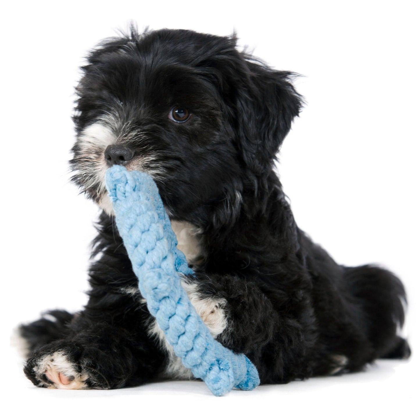 LABONI Ahoy - Spielzeugset für Hunde aus zahnpflegendem Baumwolltau