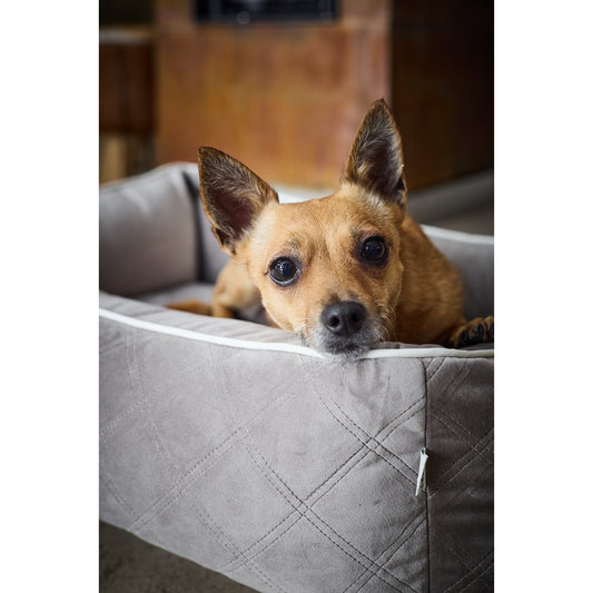 Classic Dog Bed - OXFORD Taupe