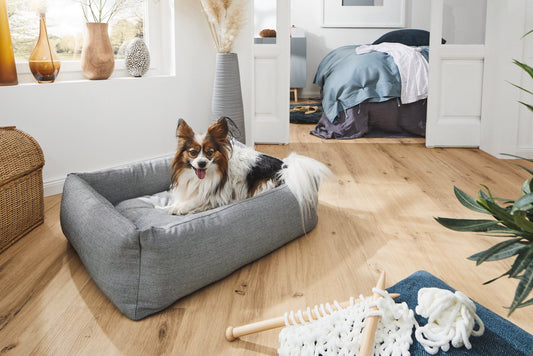 Classic Dog Bed - SMOOTH Indoor & Outdoor